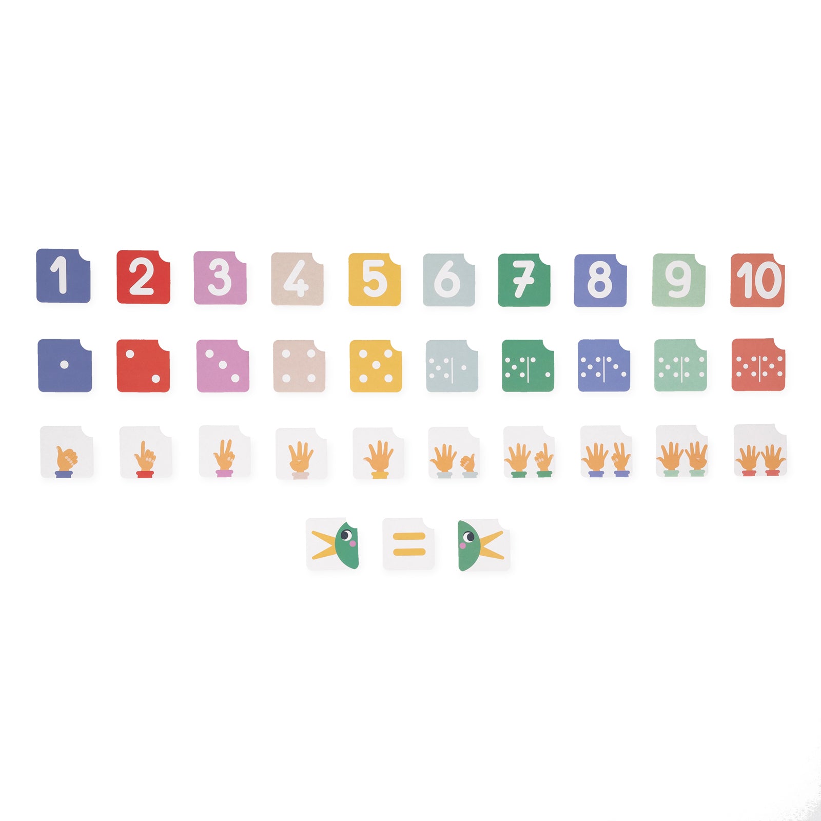 Pedagogy - Learn to count and compare - BIG & BELG