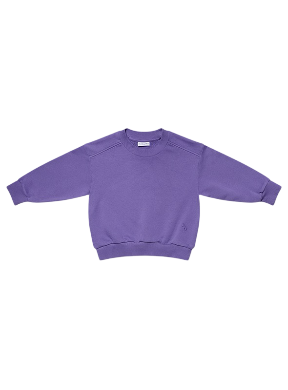 Sweatshirt Funky Purple - BIG & BELG