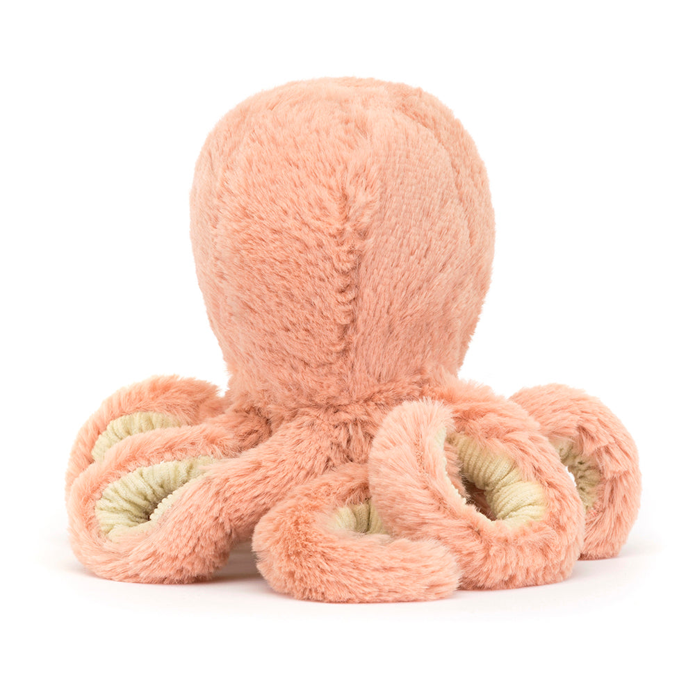 Odell Octopus Baby - BIG & BELG
