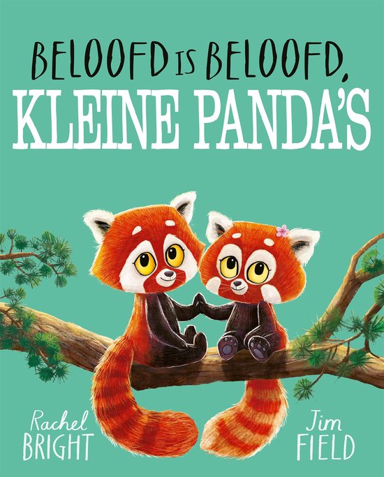Beloofd is beloofd, kleine panda's - BIG & BELG