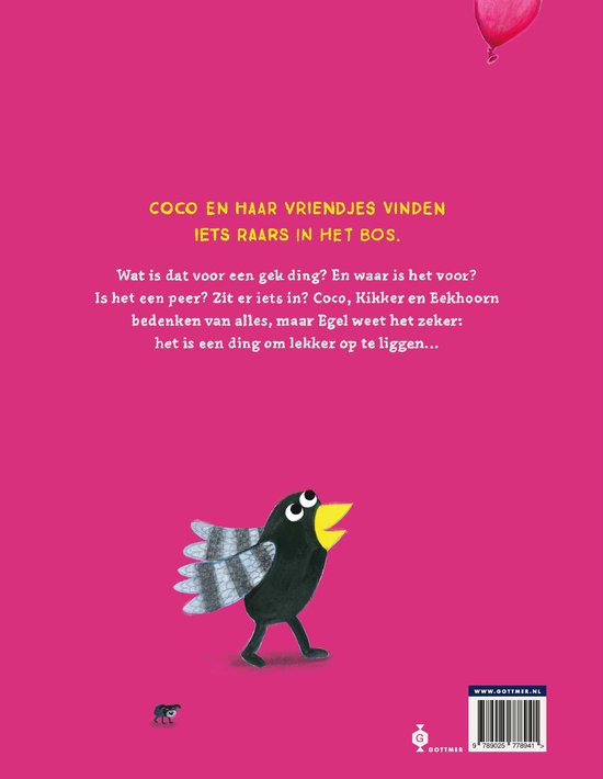 Coco en het gekke ding - BIG & BELG