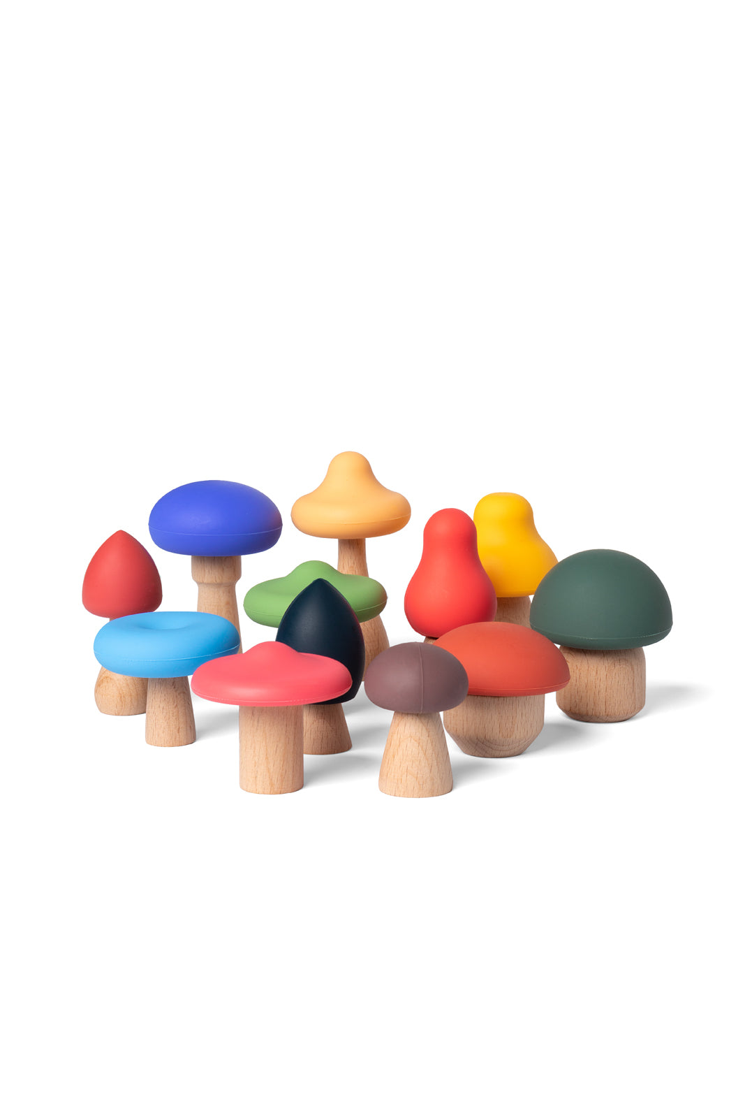 Mushrooms Full Color - BIG & BELG