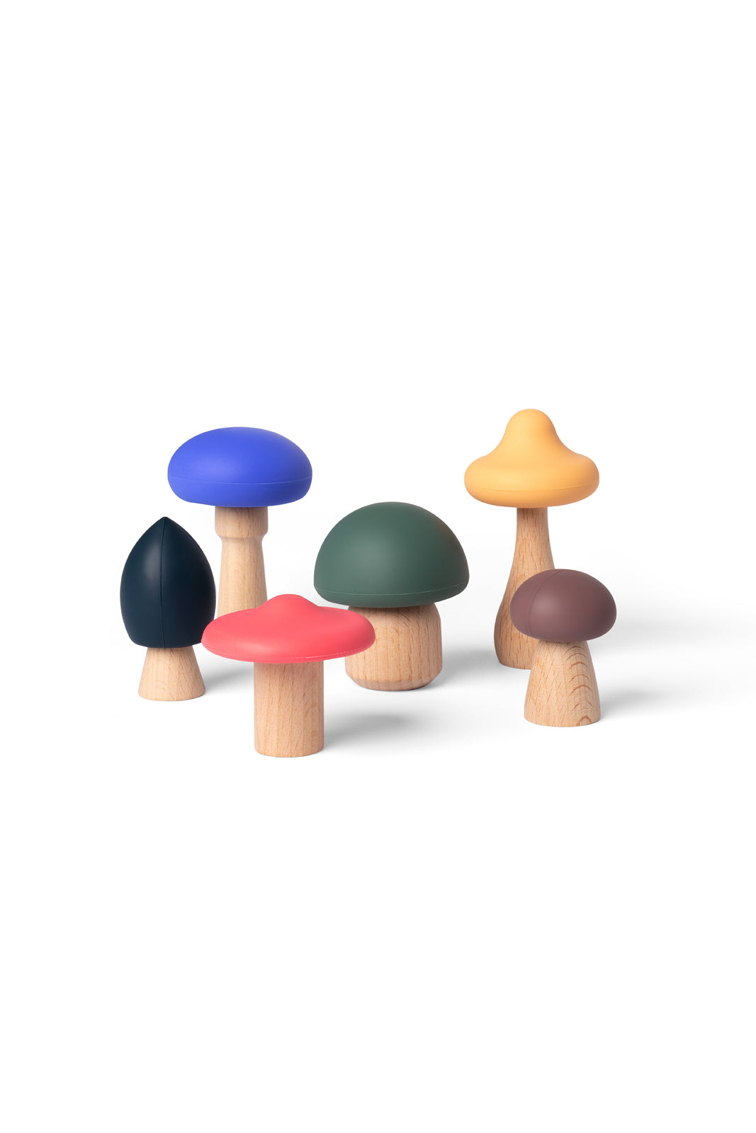 Mushrooms Full Color - BIG & BELG