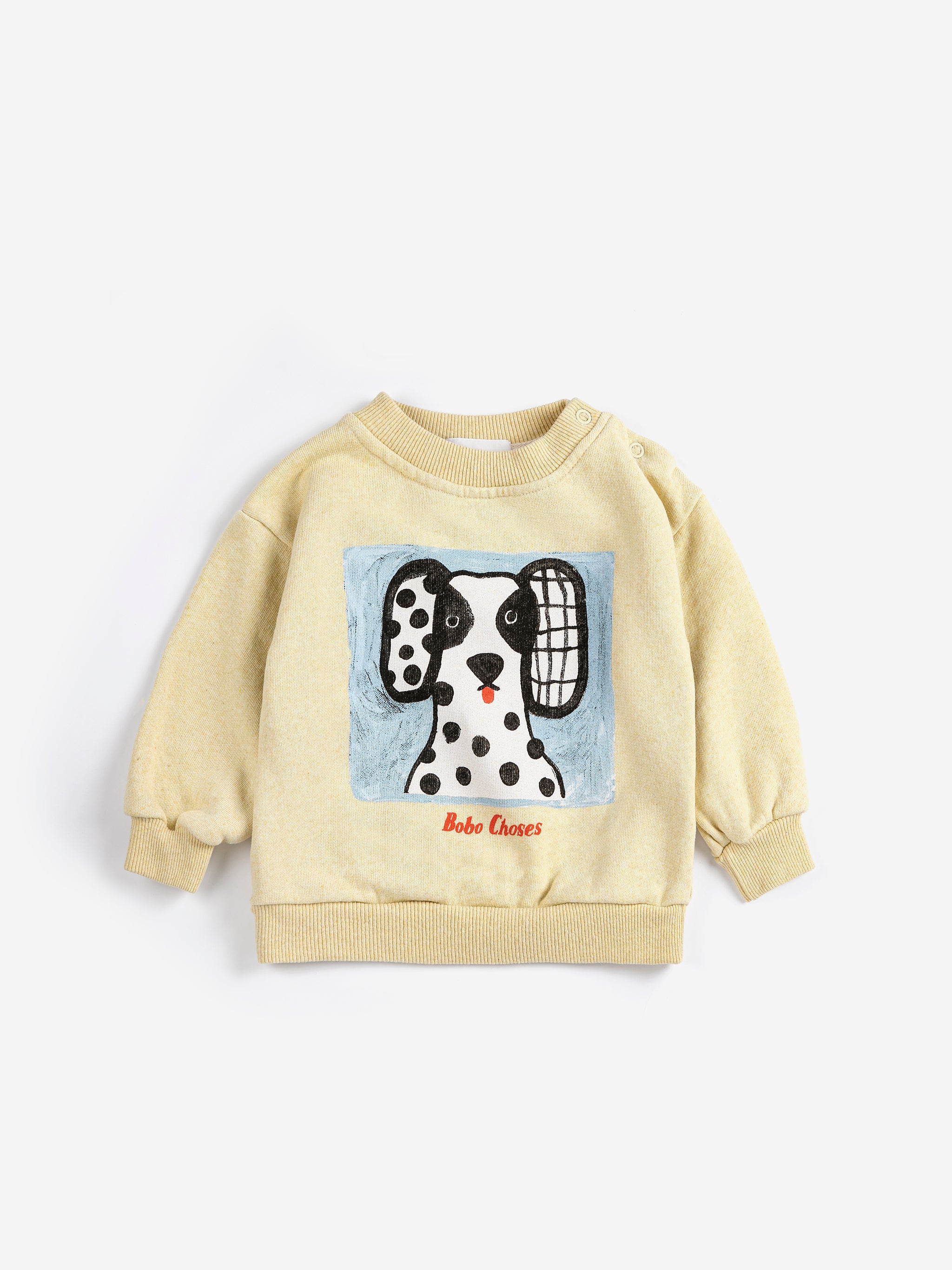 Van Dog sweartshirt - BIG & BELG