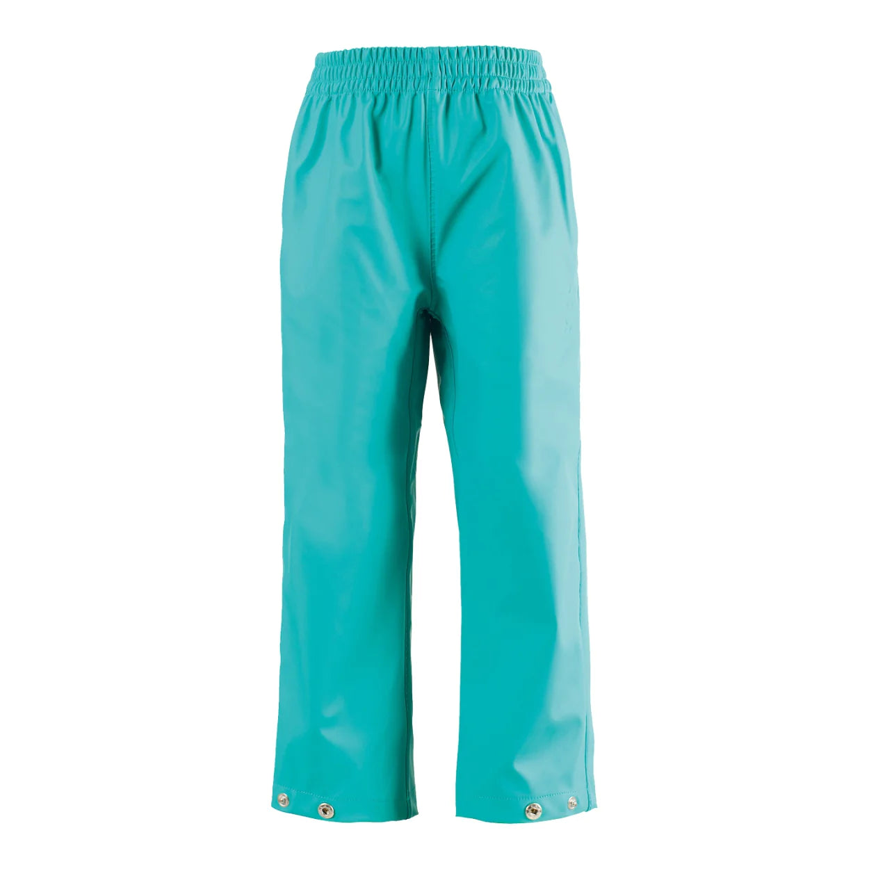 HIDDEN DRAGON - BIG & BELG