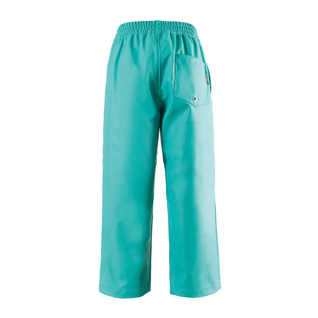 HIDDEN DRAGON - BIG & BELG