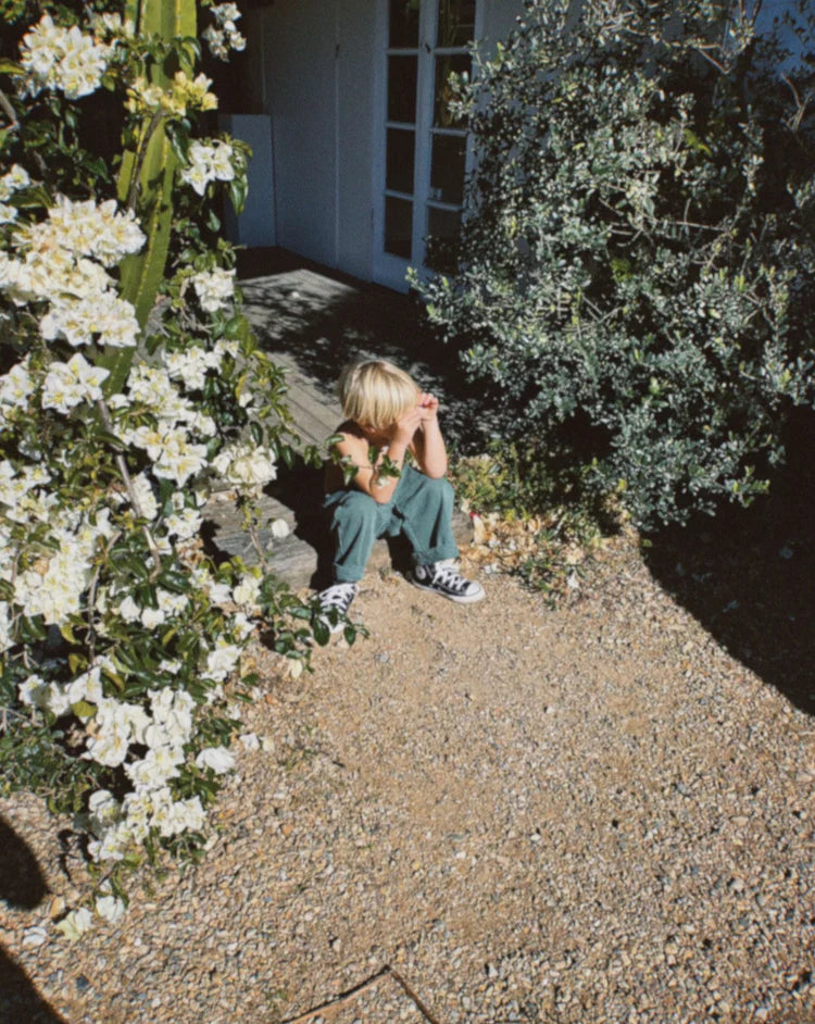 wren pant forest green