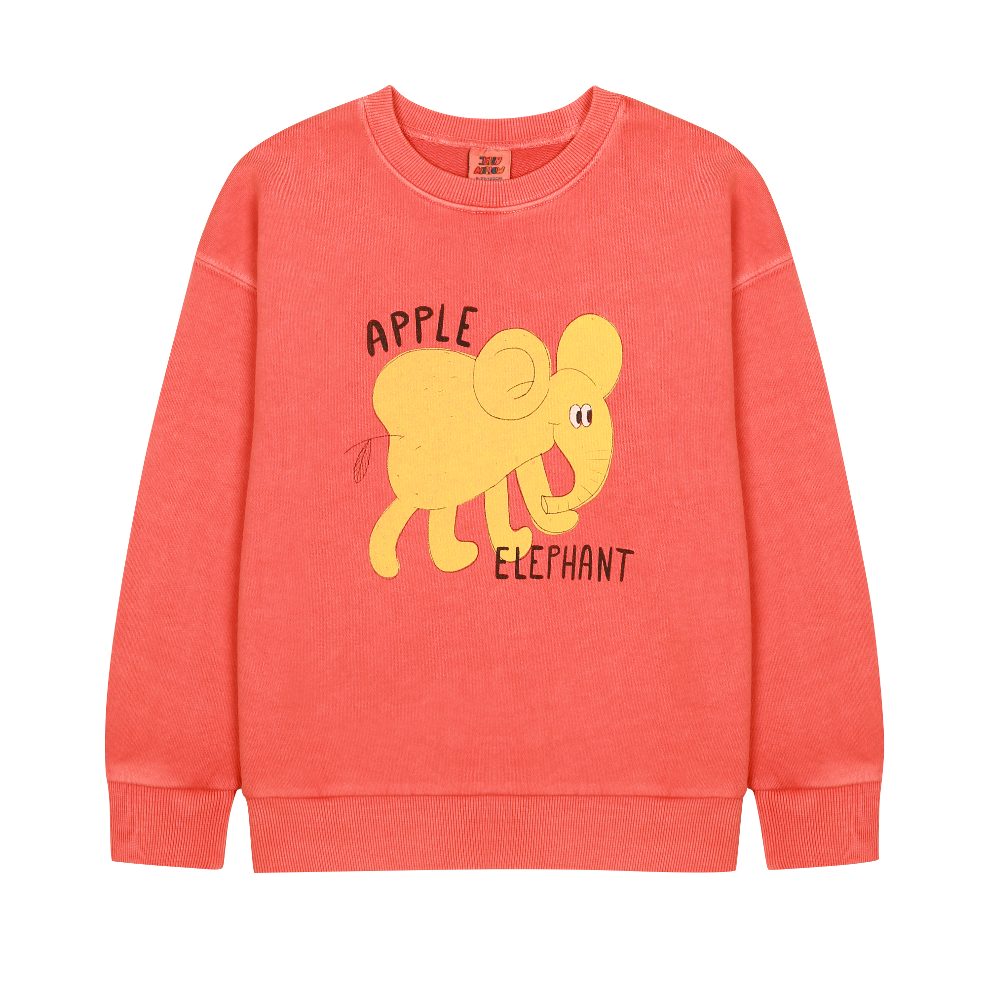 Elephant Pigment Sweatshirt - BIG & BELG