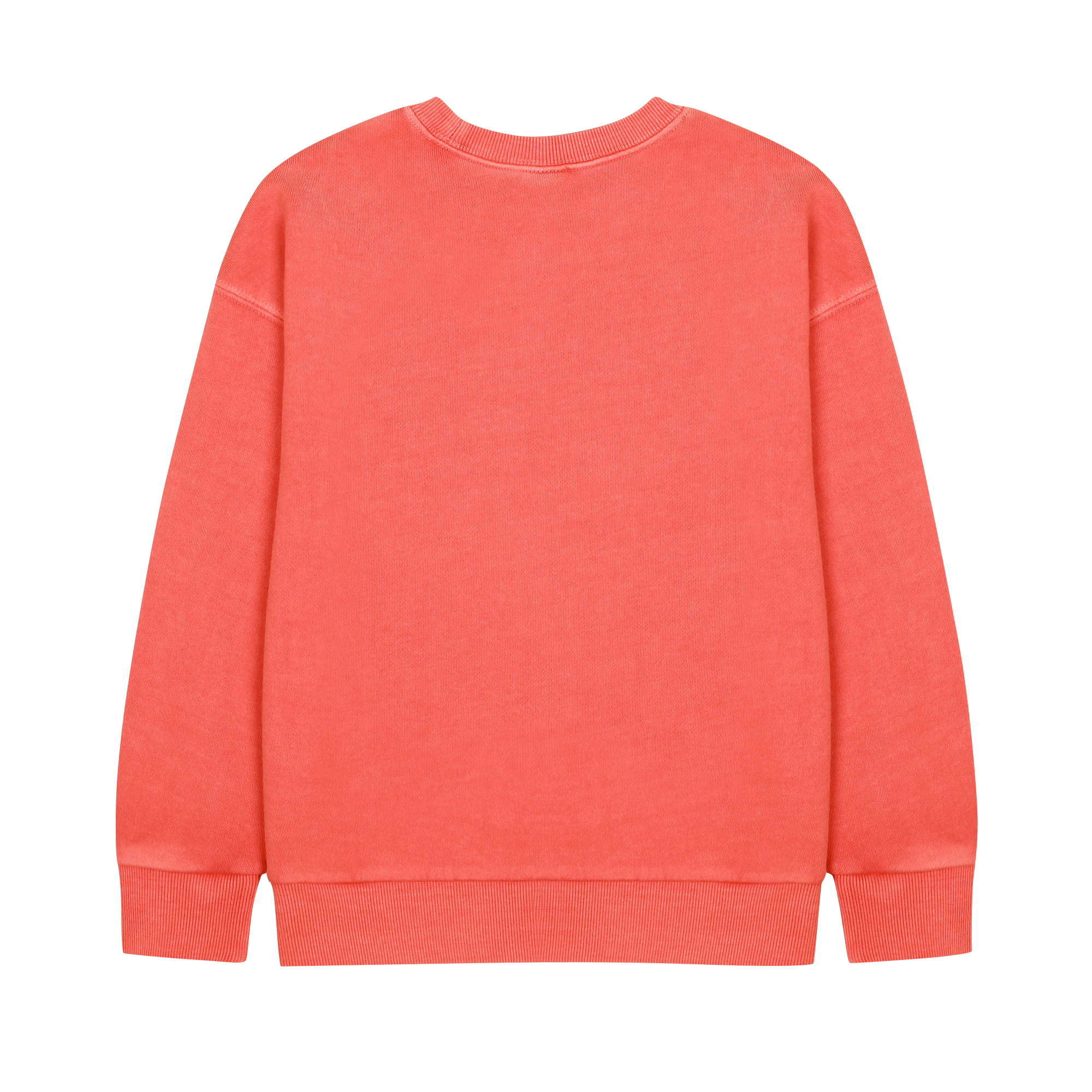 Elephant Pigment Sweatshirt - BIG & BELG