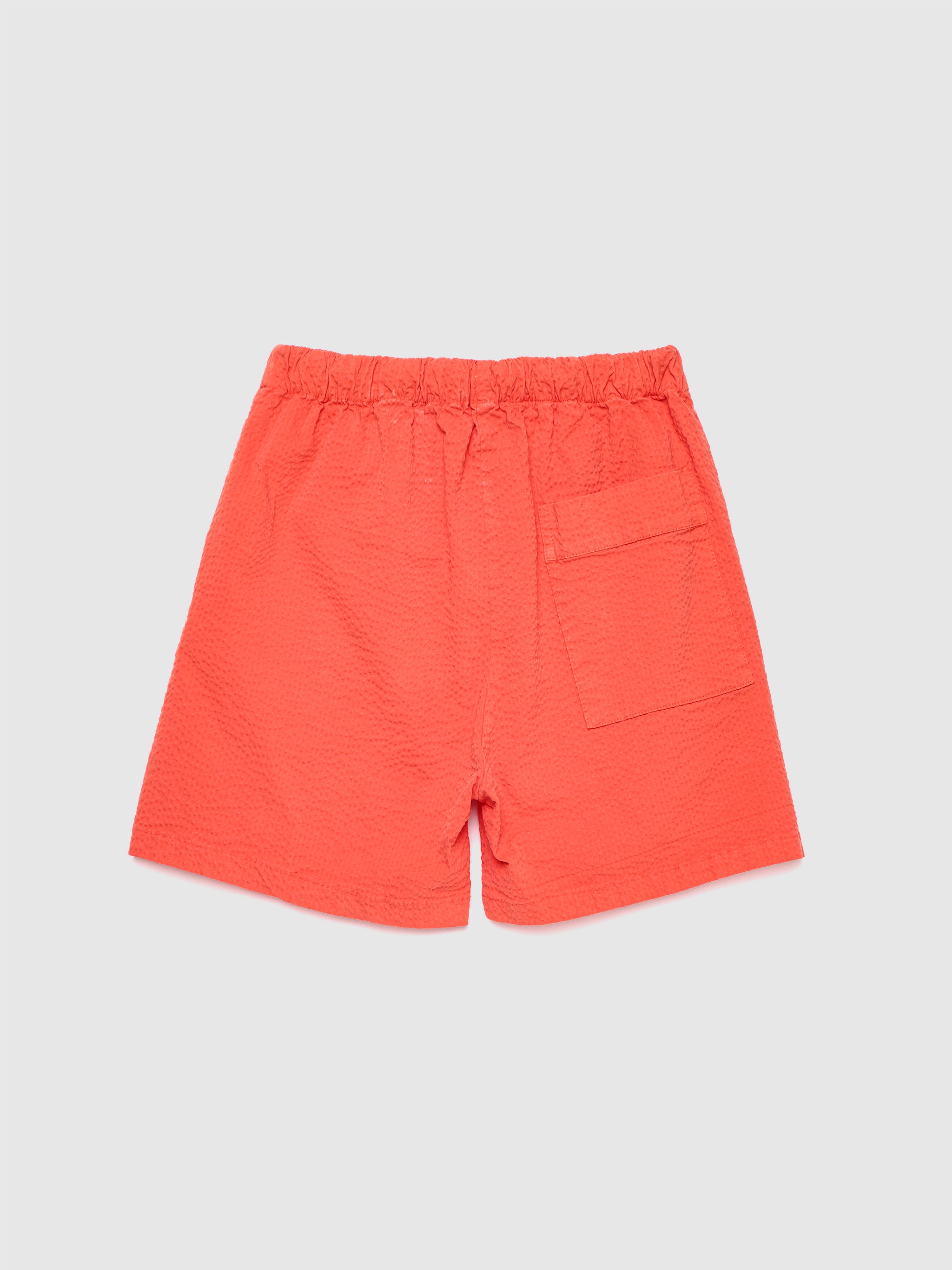 Shorts nº07 Mandarin Red - BIG & BELG