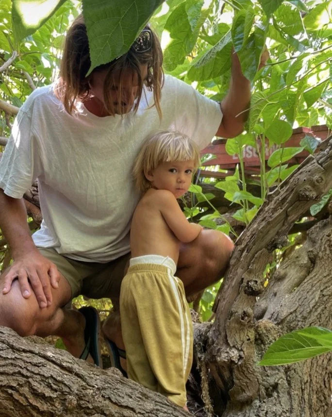 twin stripe pant olive