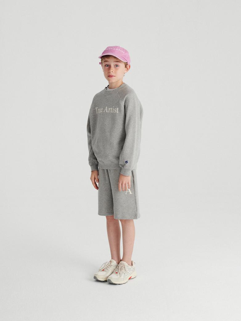 Sweatshirt nº01 Melange Gray - BIG & BELG