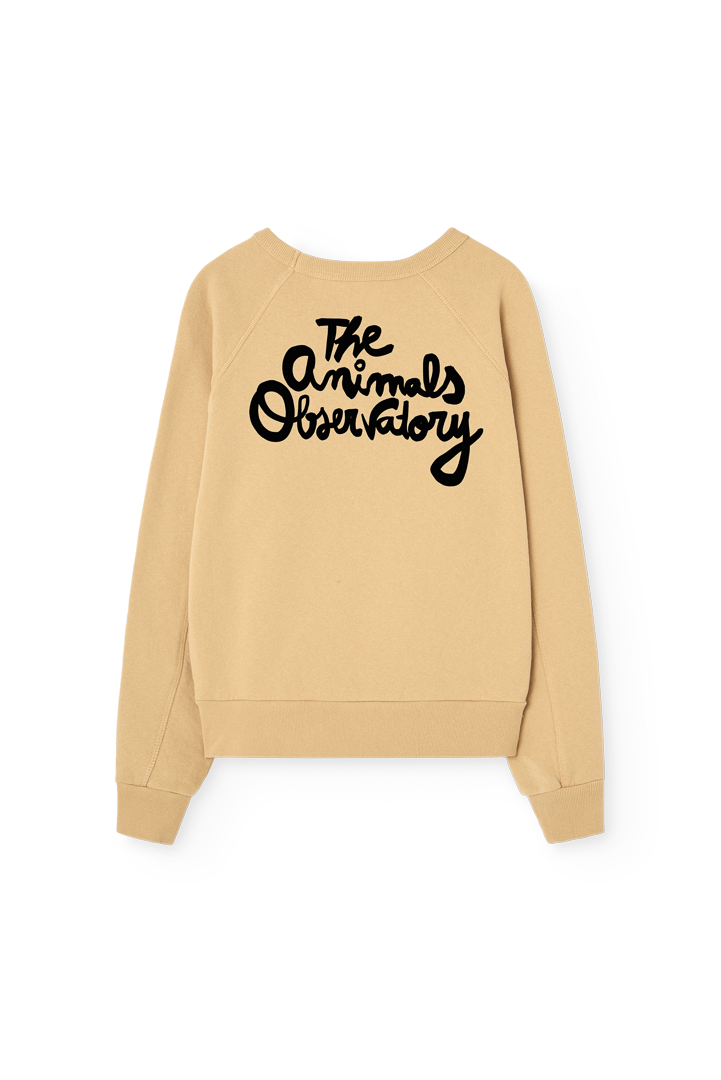 SHARK KID SWEATSHIRT - BIG & BELG