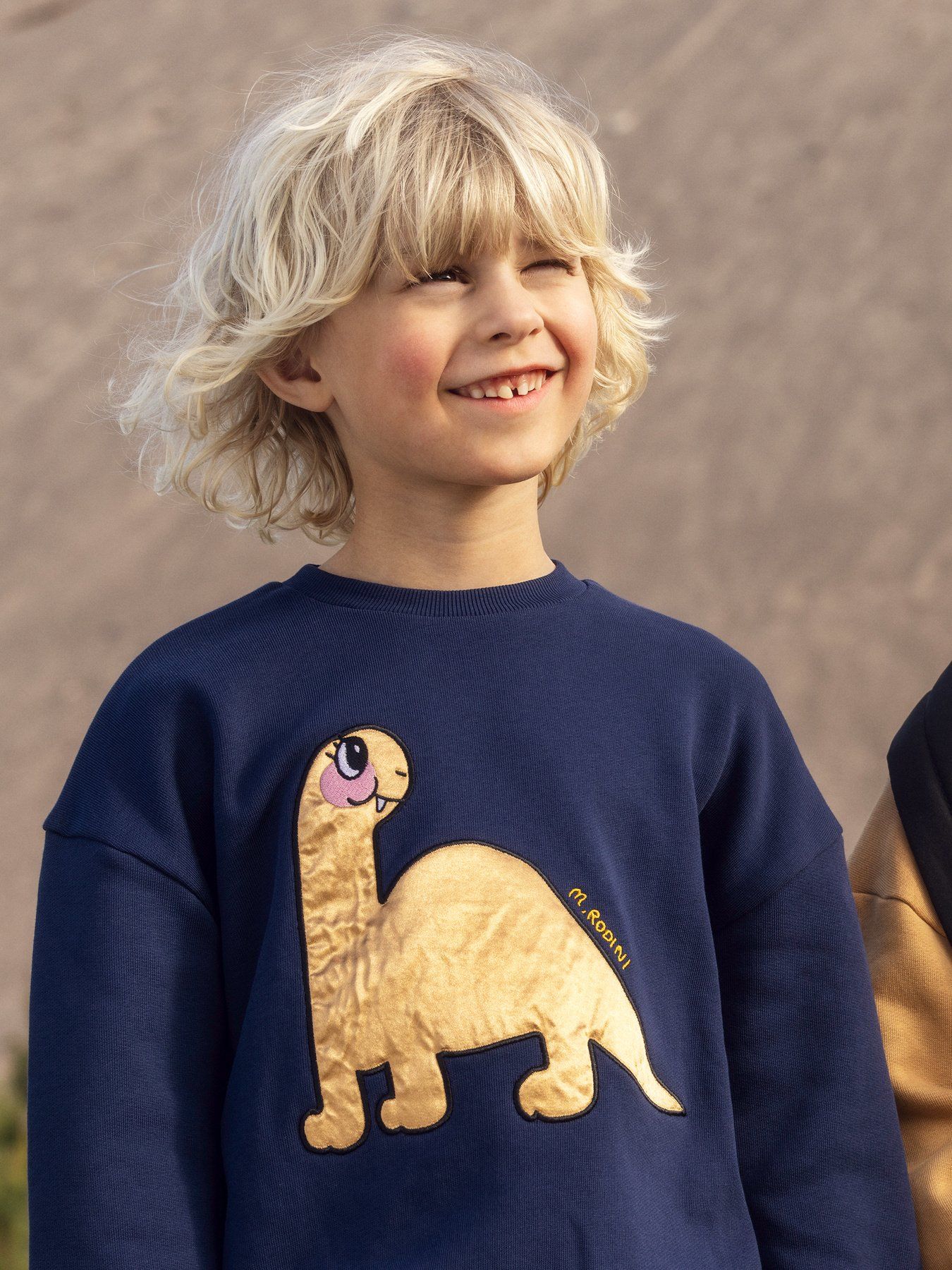 Dino application sweatshirt