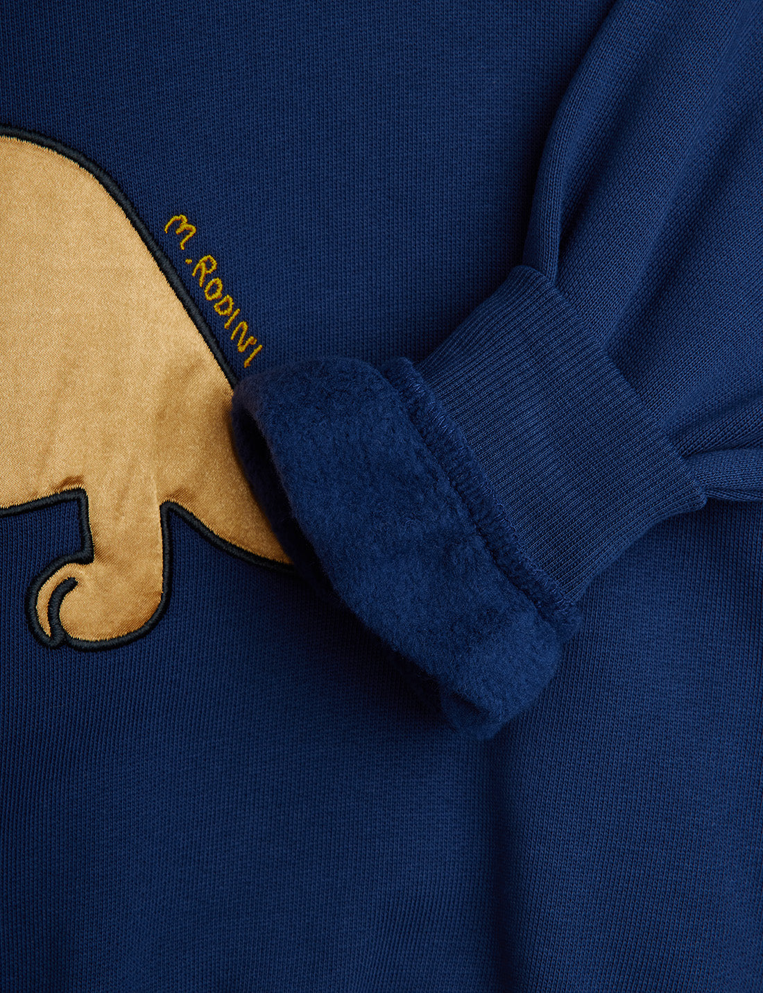 Dino application sweatshirt