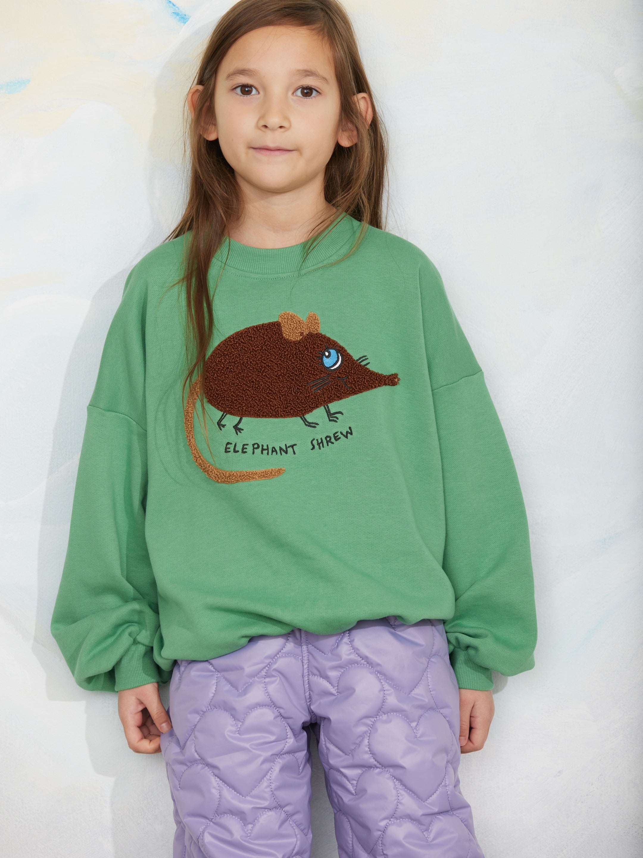 Elephant shrew chenille sweatshirt green