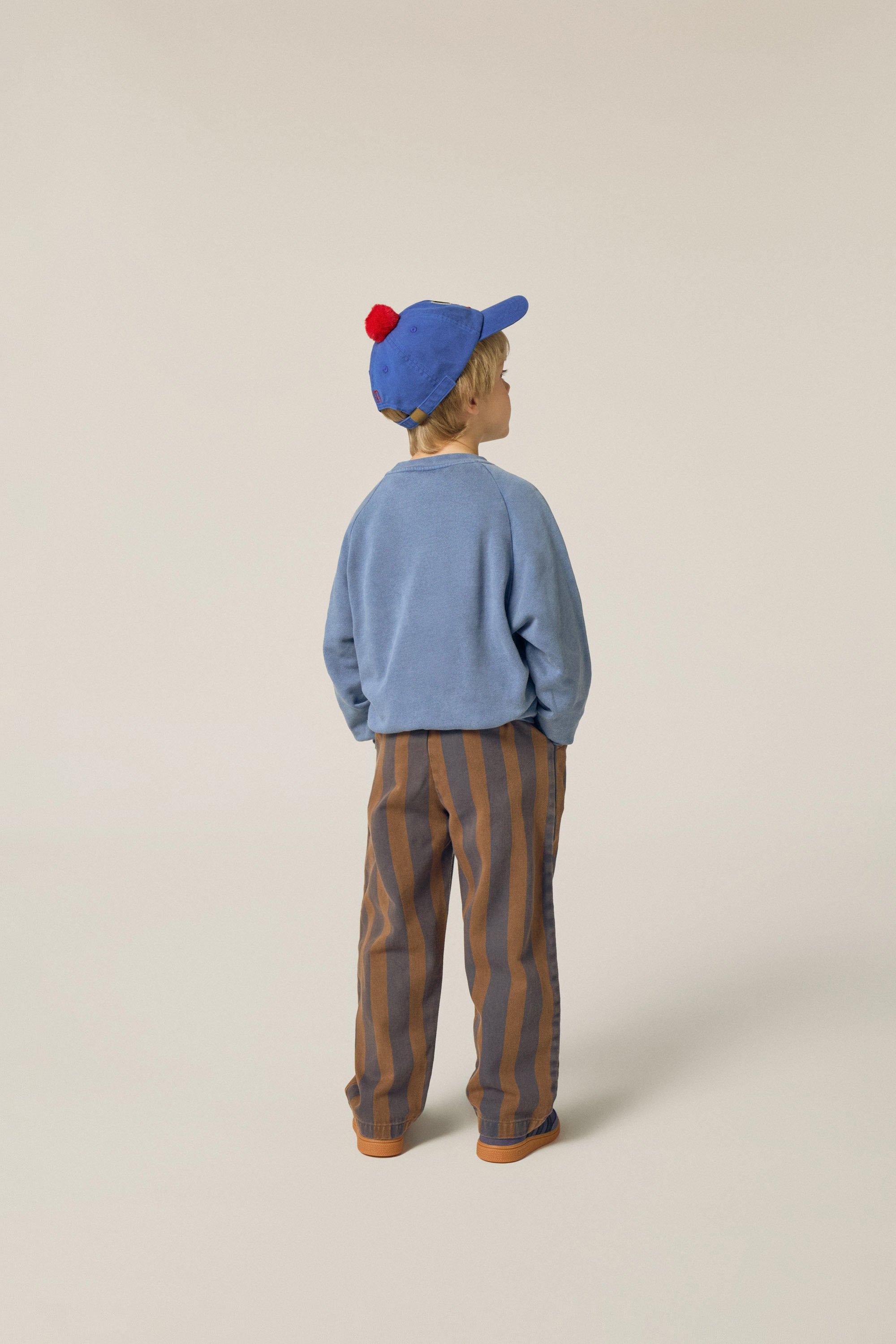 Blue Stripes Trousers