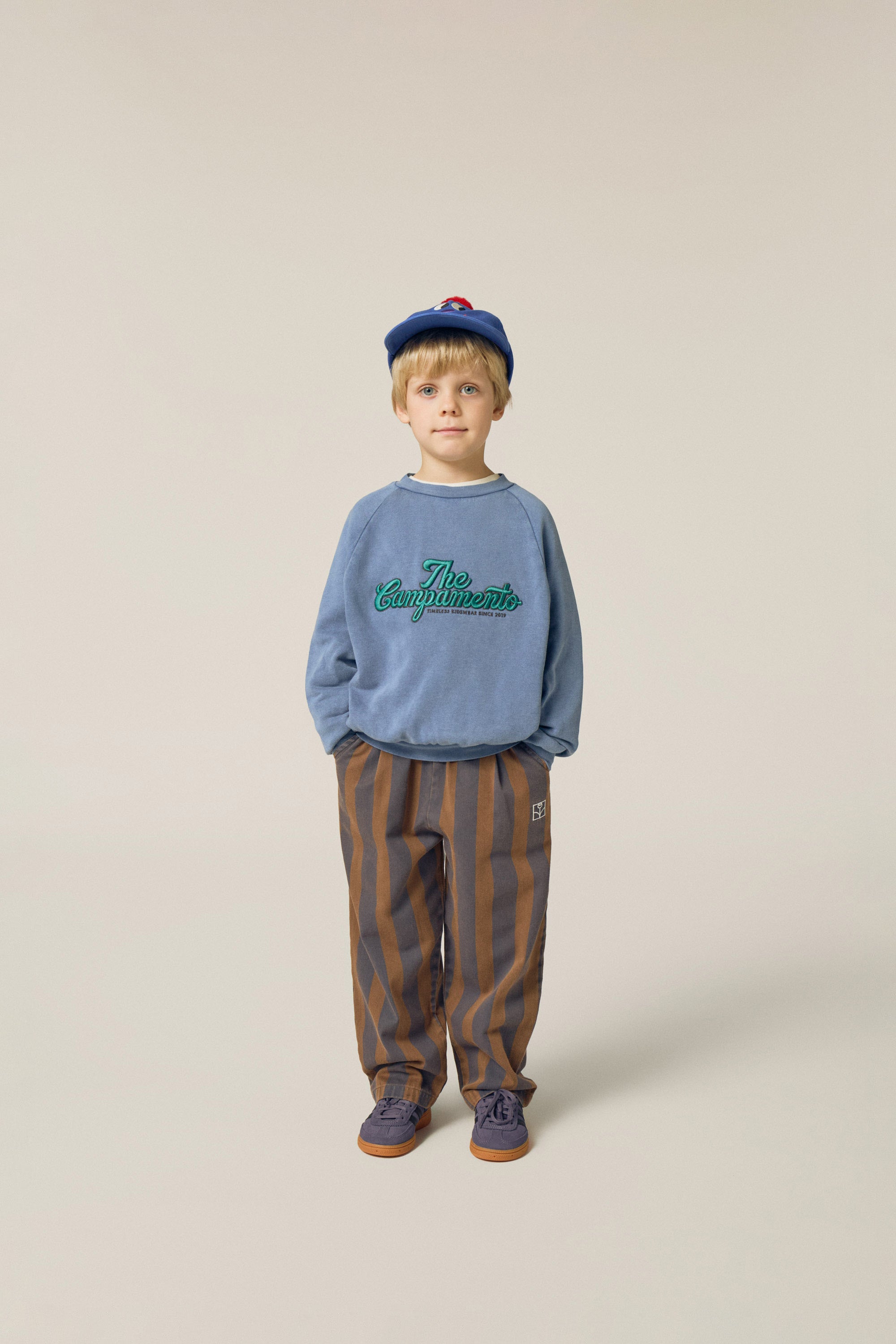 Blue Stripes Trousers