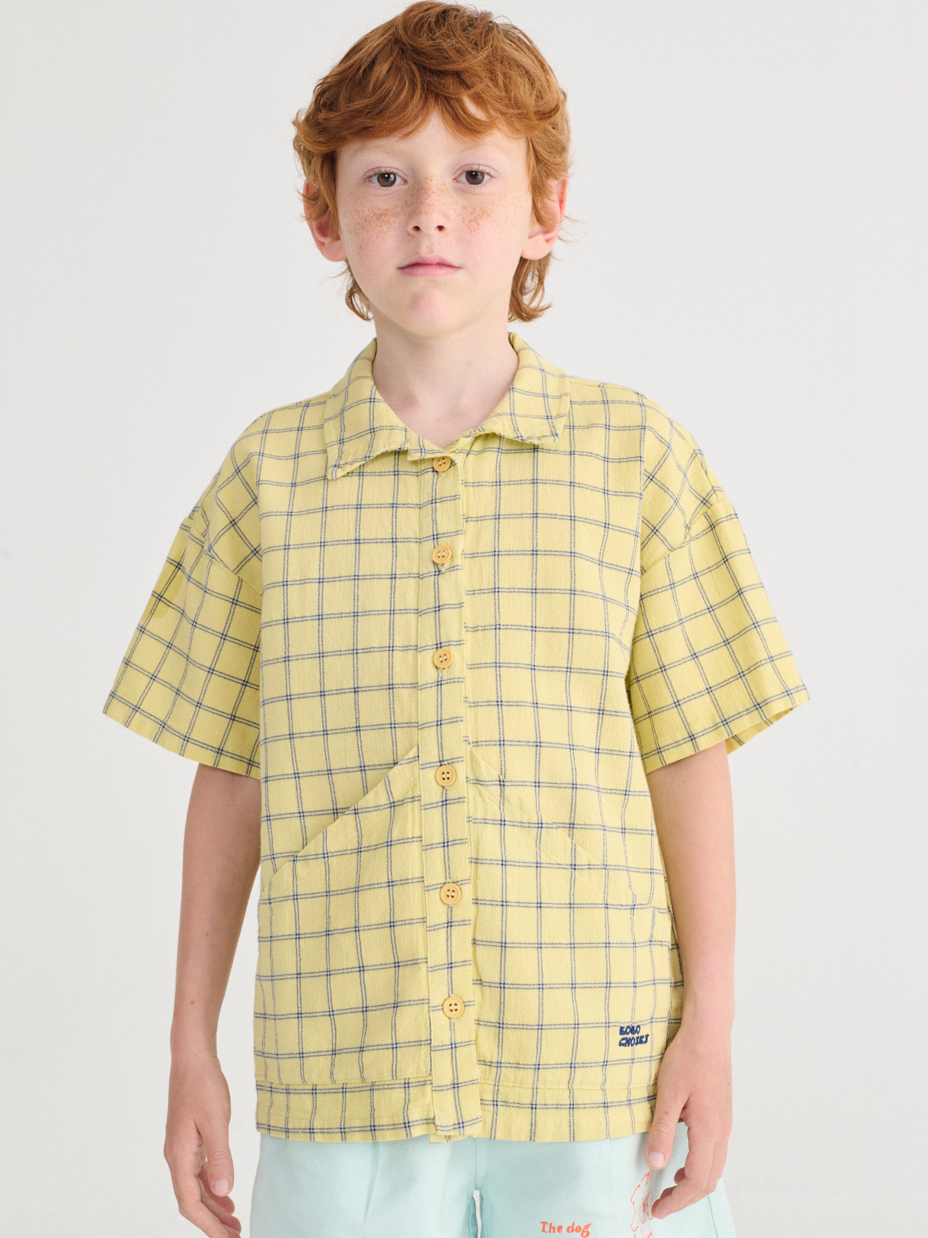 Spicy Window Pane woven shirt - BIG & BELG