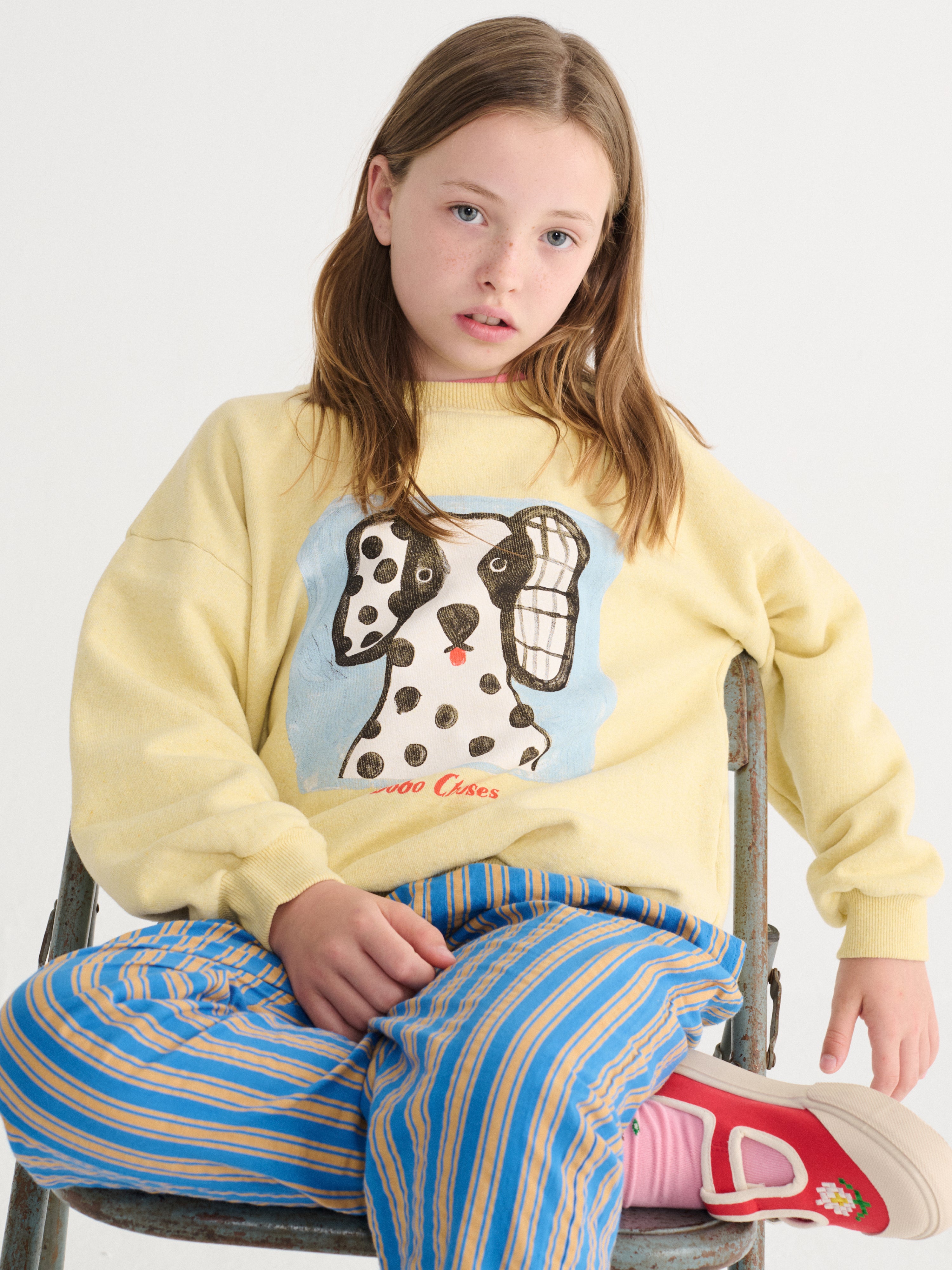 Van Dog sweatshirt kids - BIG & BELG