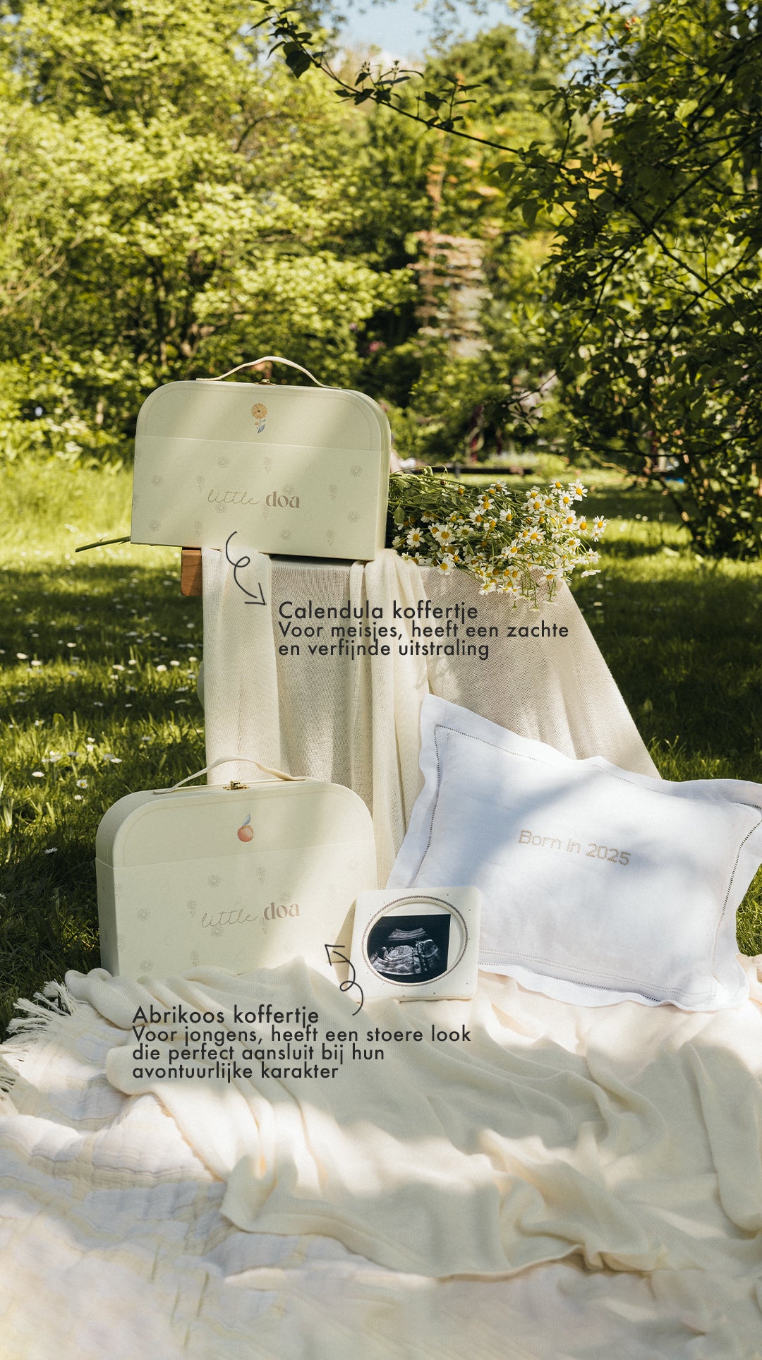 The Essential Gift Set Calendula