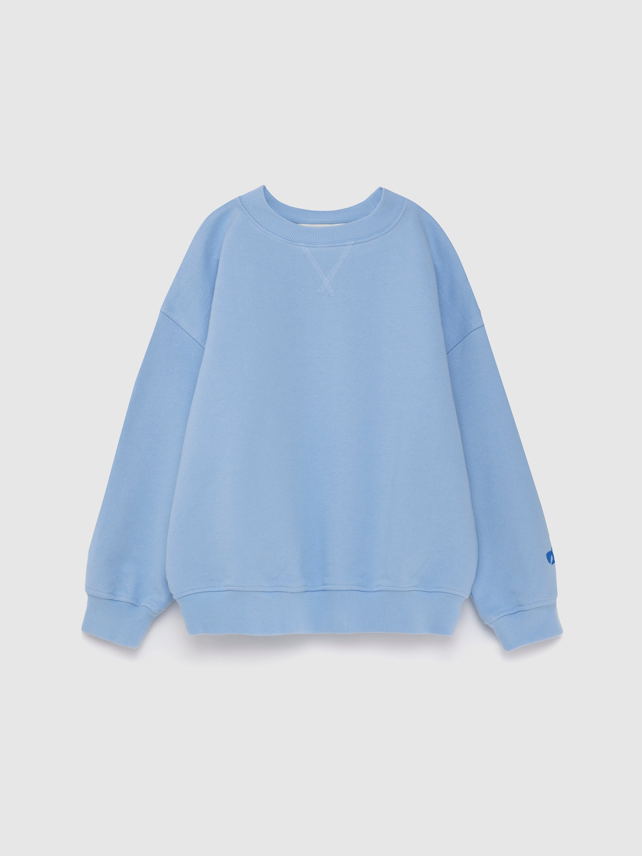 Sweatshirt nº11 Skyride Blue - BIG & BELG