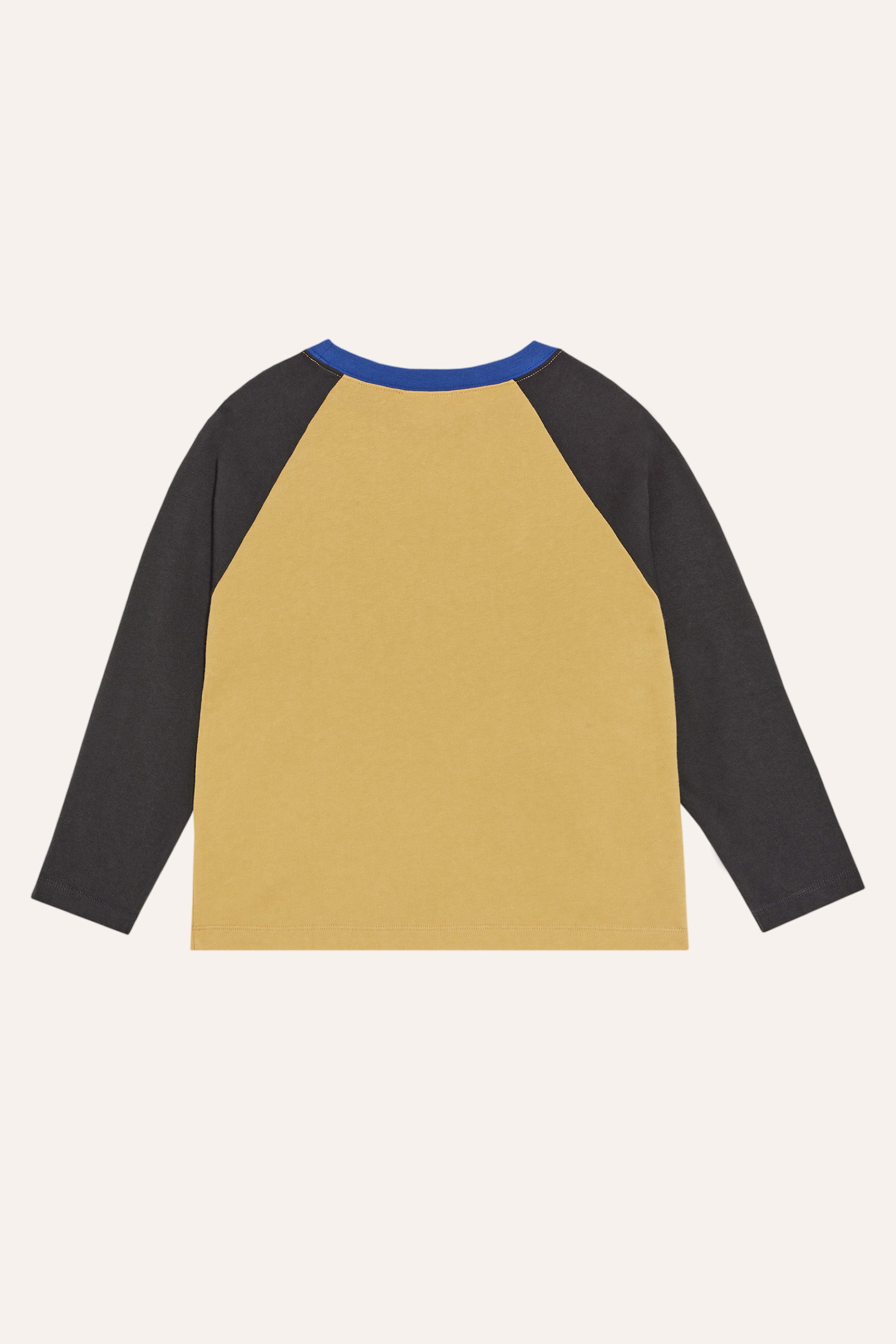 Bear Color Block Tshirt