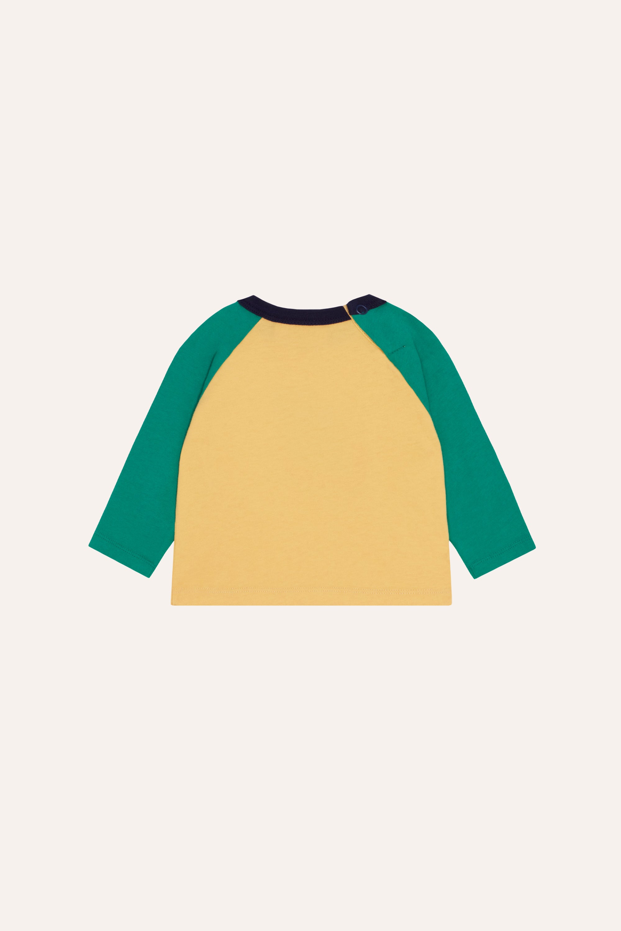 Snail Color Block Baby Tshirt